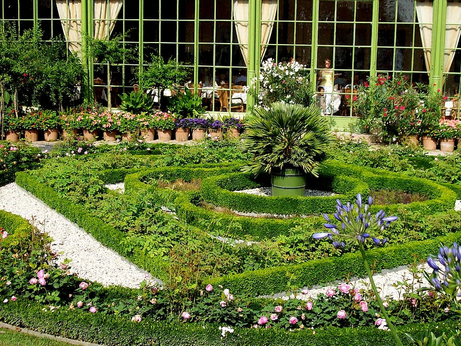 garden, herbs, baroque, bed, bed border, plant, growth, flowering plant, nature, flower