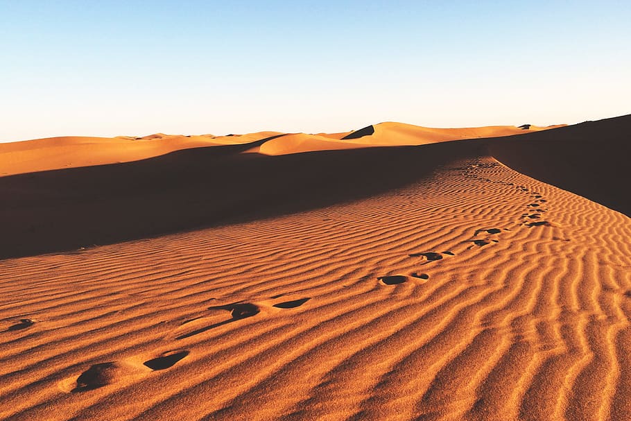 landscape shot, desert sand dunes, Landscape, shot, desert sand, sand dunes, Africa, nature, heat, natural