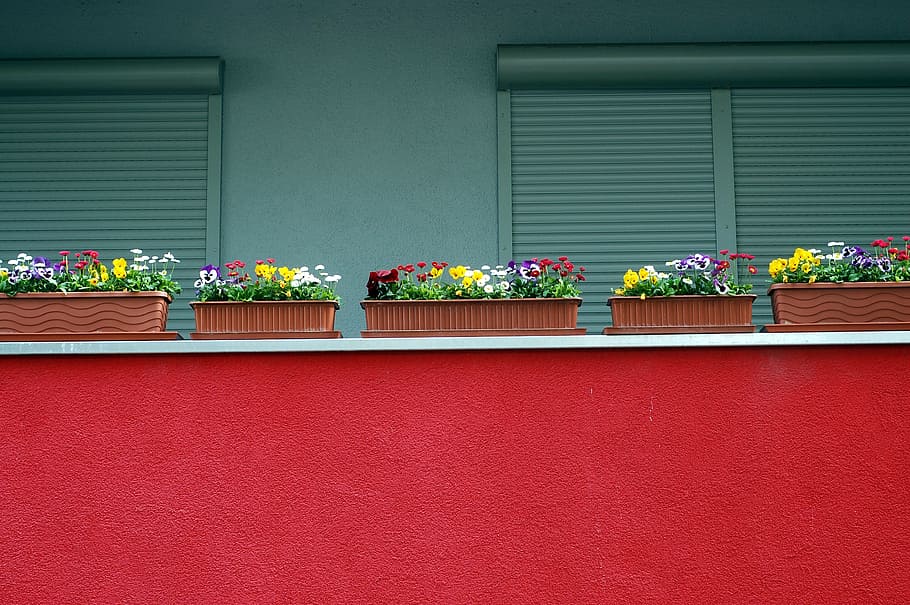 assorted, floral, plants, windows, city, house, balcony, modern building, red, flowers