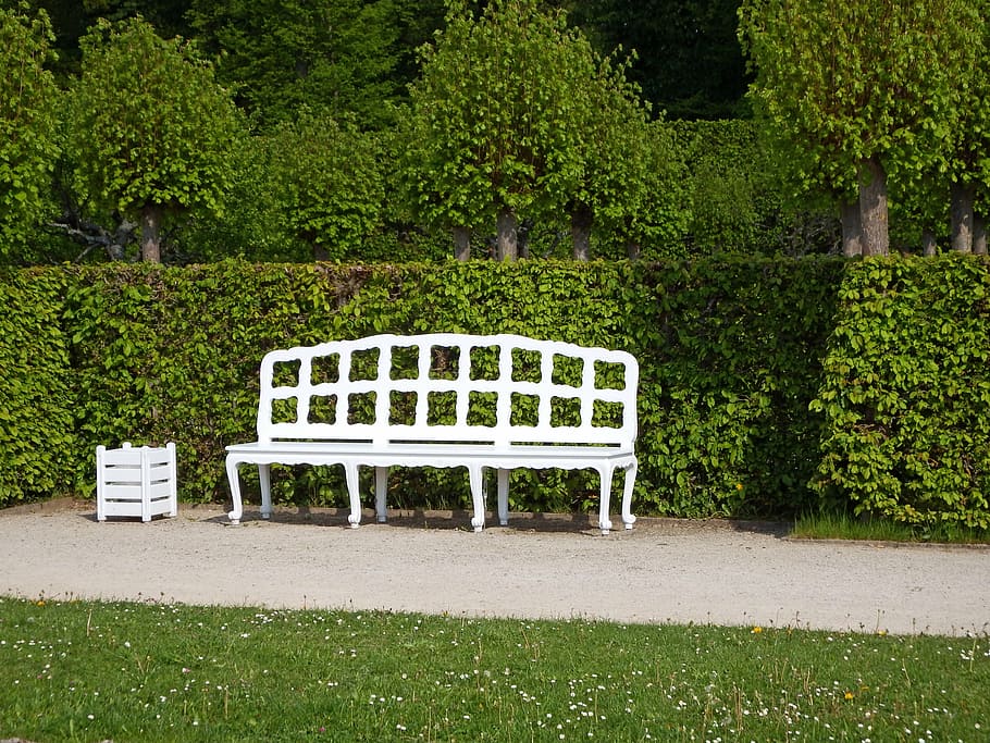 wooden bench, white, rest, sit, click, guests can enjoy, park, nature, romantic, bushes