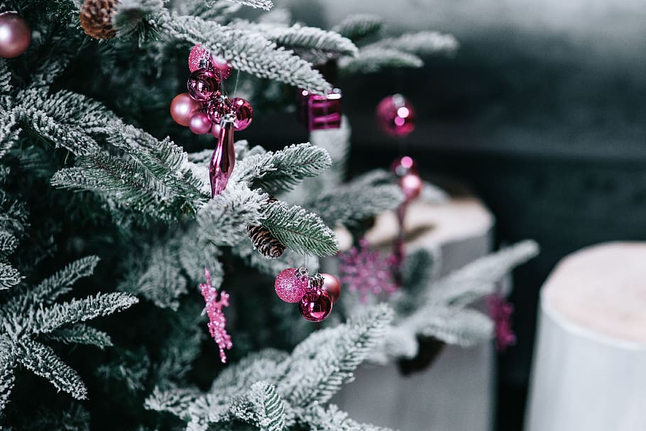 tree, decor, decorations, Christmas balls, xmas, balls, Christmas, plant, focus on foreground, close-up