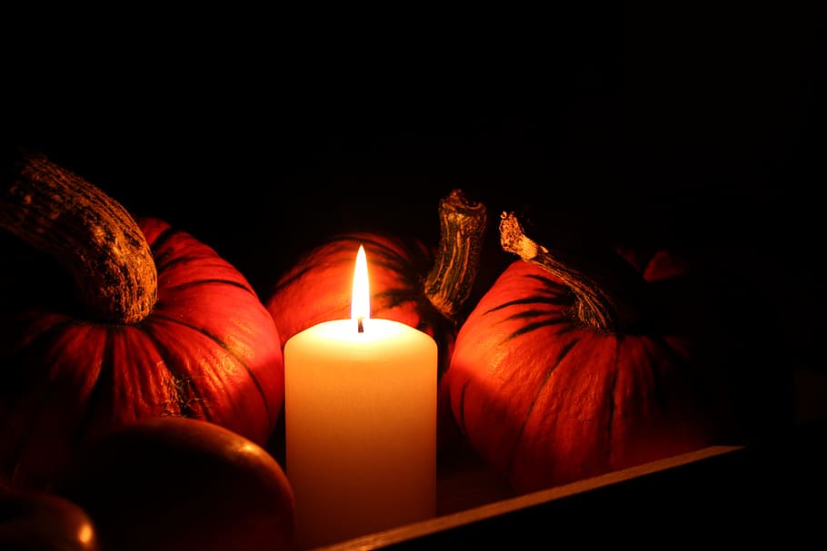 lighted, pillar candle, pumpkins, candle, still life, halloween, autumn, light, evening, decoration