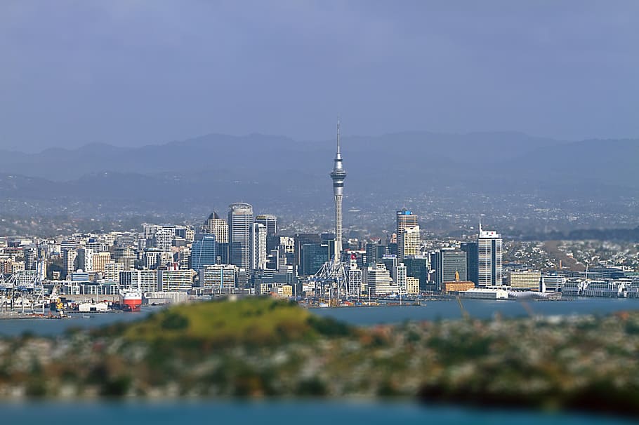 cn tower, canada, daytime, Auckland, New Zealand, Skyline, City, cityscape, tower, skyscraper