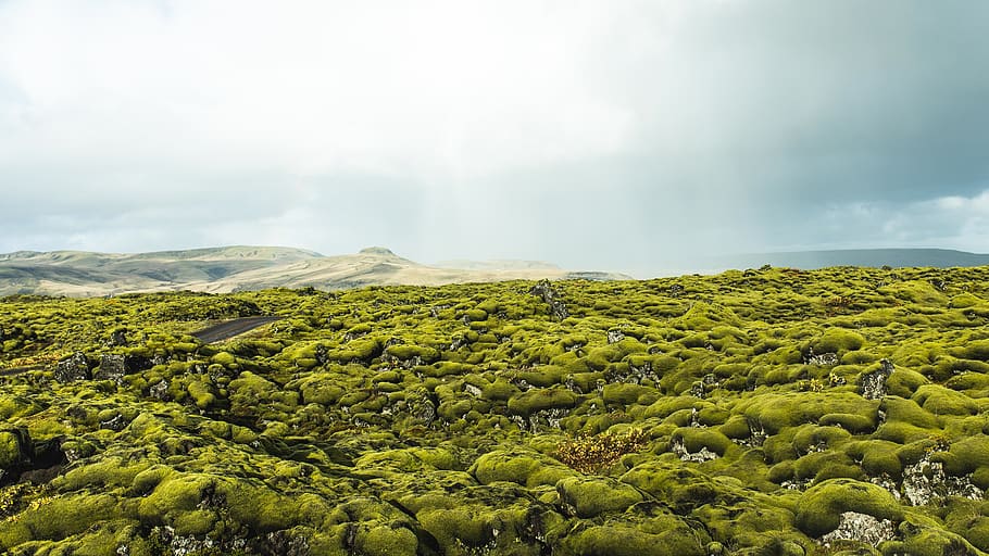 mountain, green, moss, rocks, highland, nature, sky, clouds, view, landscape