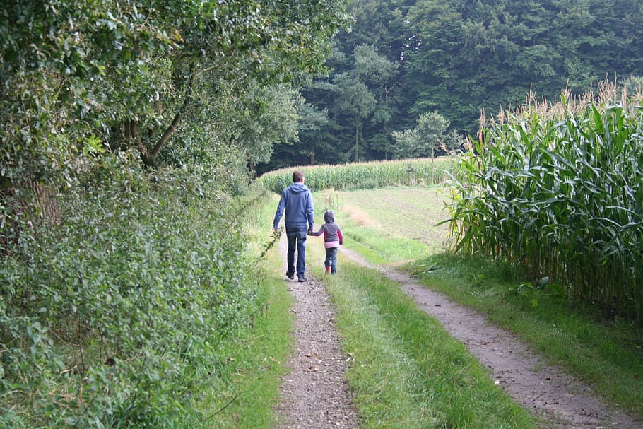 산책, 아버지, 떨어져, 달리기, 하이킹, 인간의, 여가, 커뮤니티, 더, 가족