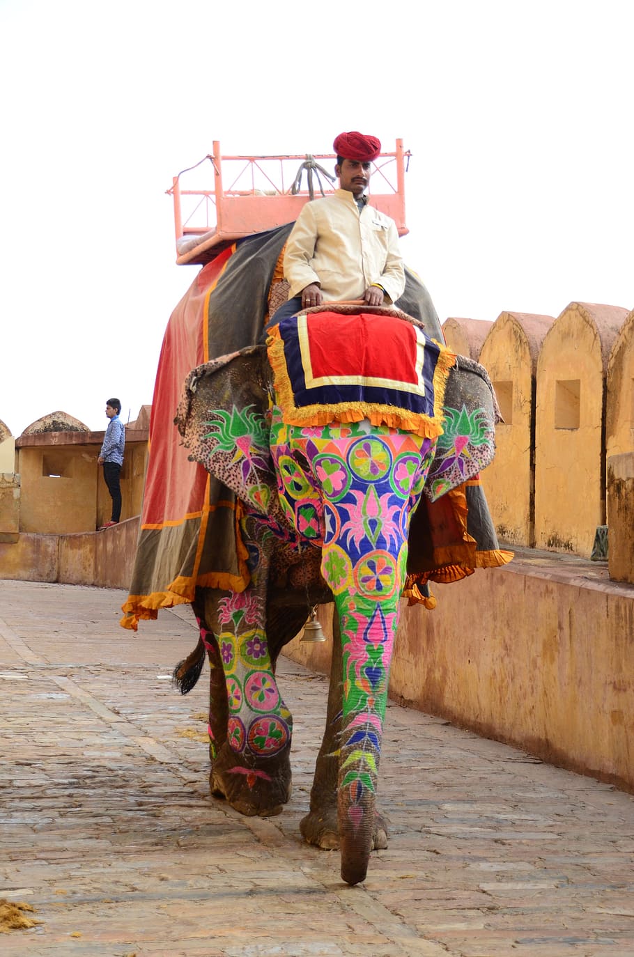 man, riding, elephant, daytime, amber palace, india, mammal, elephants, tourists, traditional