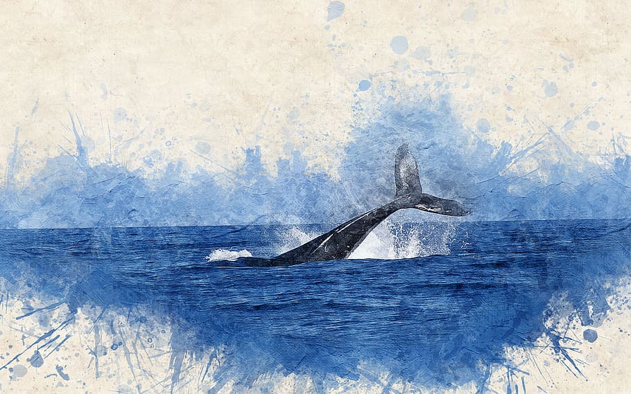whale, swim, water painting, watercolor, sea, animals in the wild, animal wildlife, animal themes, animal, water