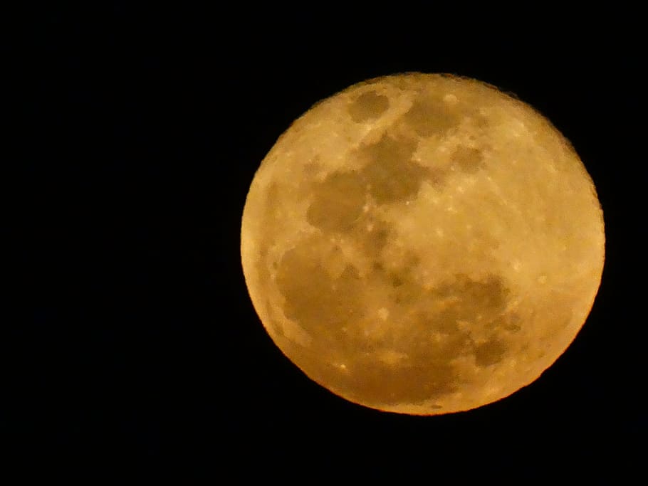 rising moon, yellow moon, moonlight, space, moon, astronomy, sky, night, full moon, planetary moon