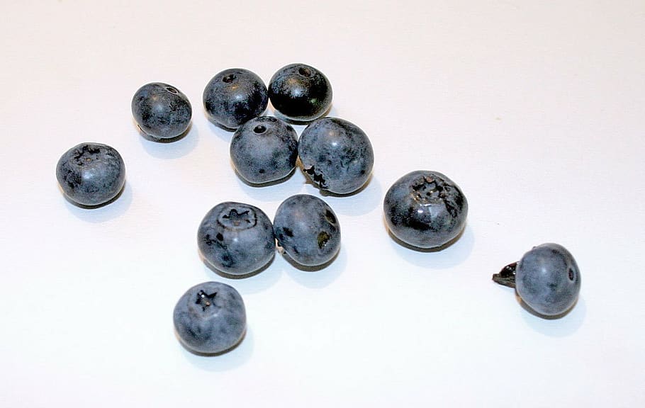 blueberry, black berry, wild berry, berry, bickbeere, zeckbeere, cranberry, berries, fruit, fruits
