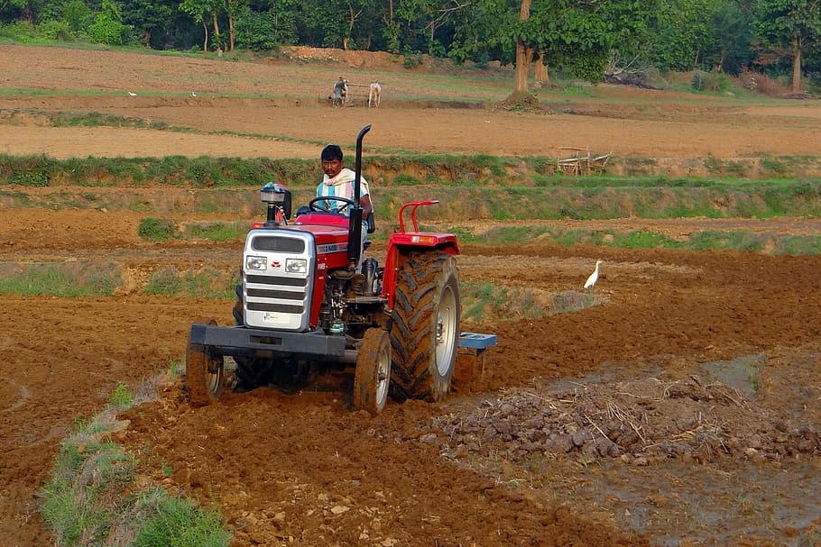tractor, tiller, tilling, equipment, agriculture, karnataka, india, transportation, mode of transportation, land
