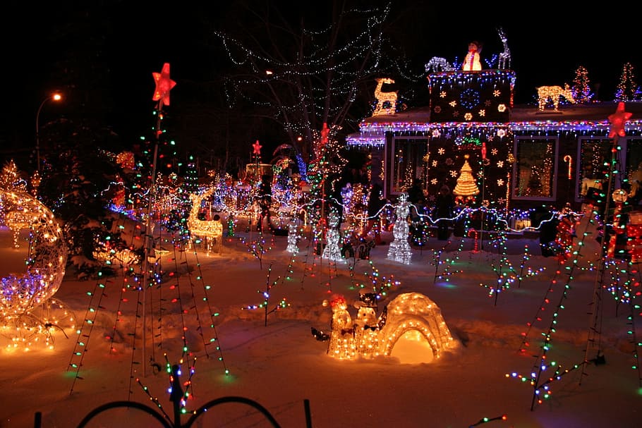 christmas-themed light park, christmas, lights, decoration, holiday, light, xmas, season, celebration, winter