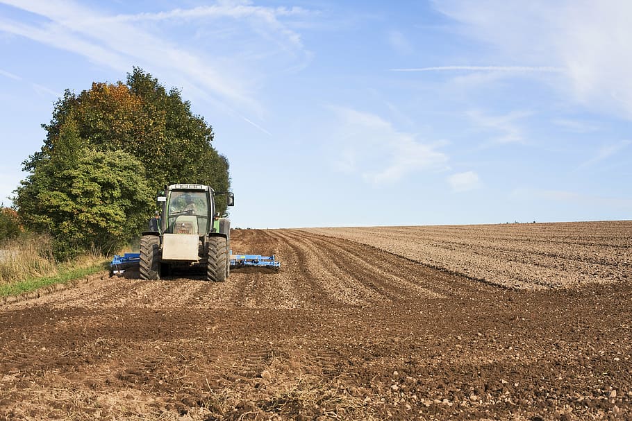 traktor pertanian, membajak, tanah, garapan, pertanian, foto agro, agrartechnik, ekonomi pertanian, budidaya, melonggarkan