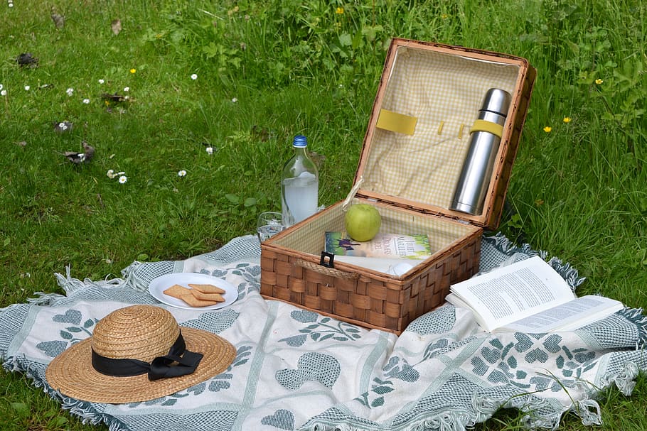 wicker, brown, picnic basket, grass, sun hat, picnic, book, summer, spring, reading