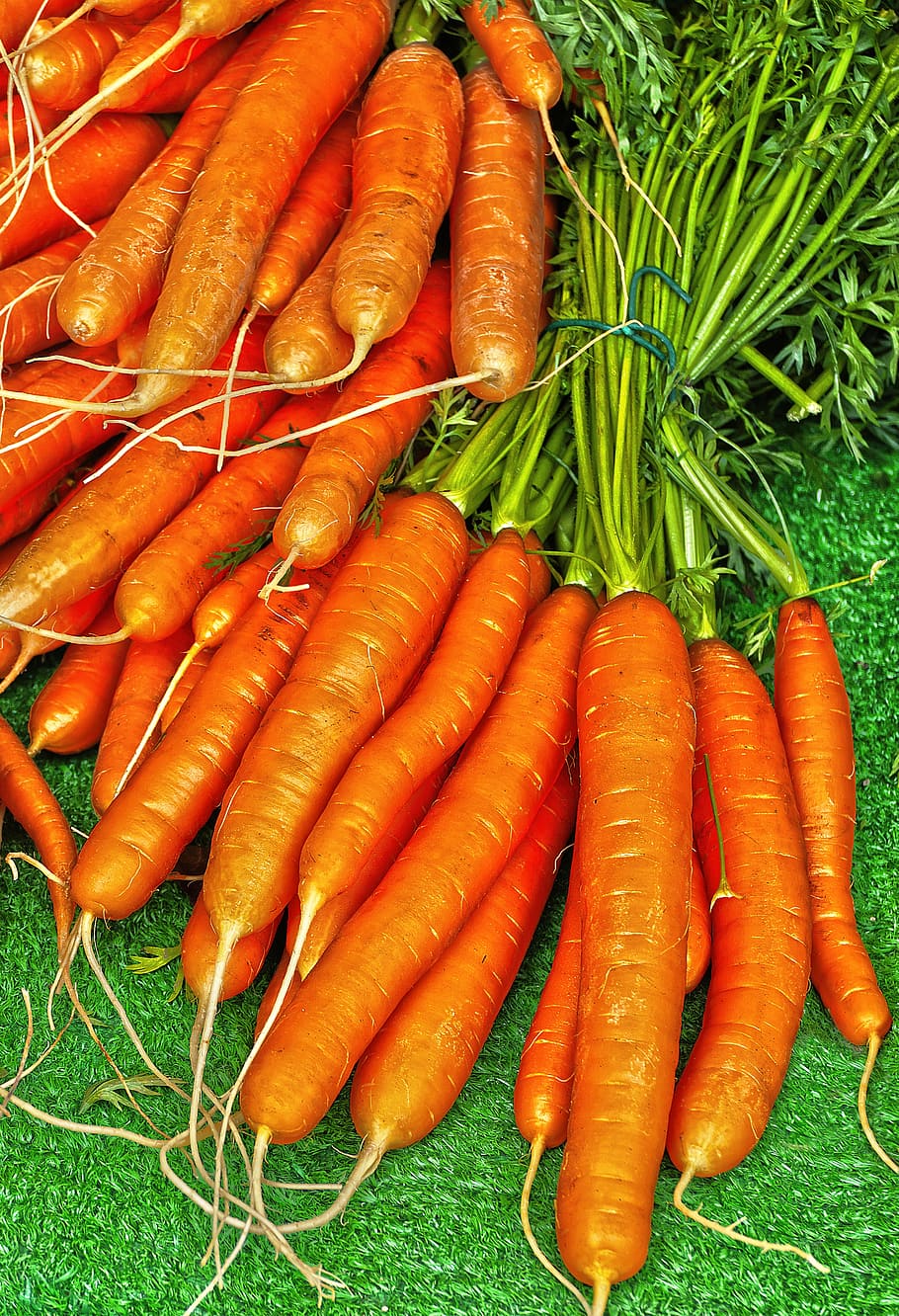 carrot, yellow beet, carrots, mario, daucus carota, vegetable plant, vegetables, carotene, healthy, vegetable grower