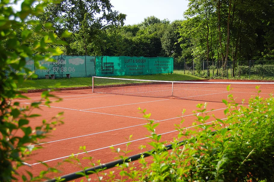 rodeado, árboles, cancha de tenis, cancha, tenis, arena de Roter, plantas verdes, sol, vacío, deporte