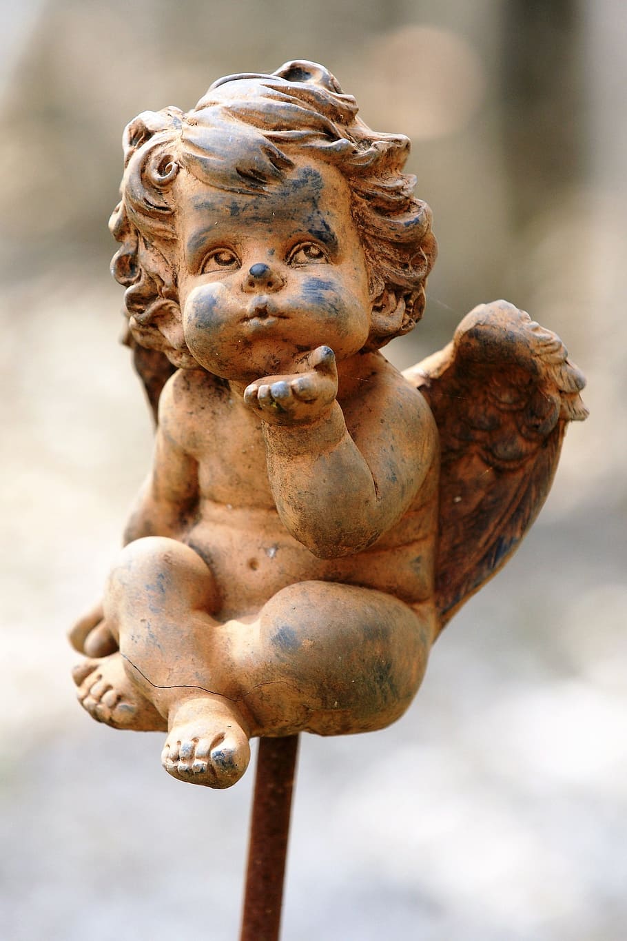 Angel, Figure, Sculpture, mourning, gratitude, consolation, statue, religion, lion - feline, outdoors