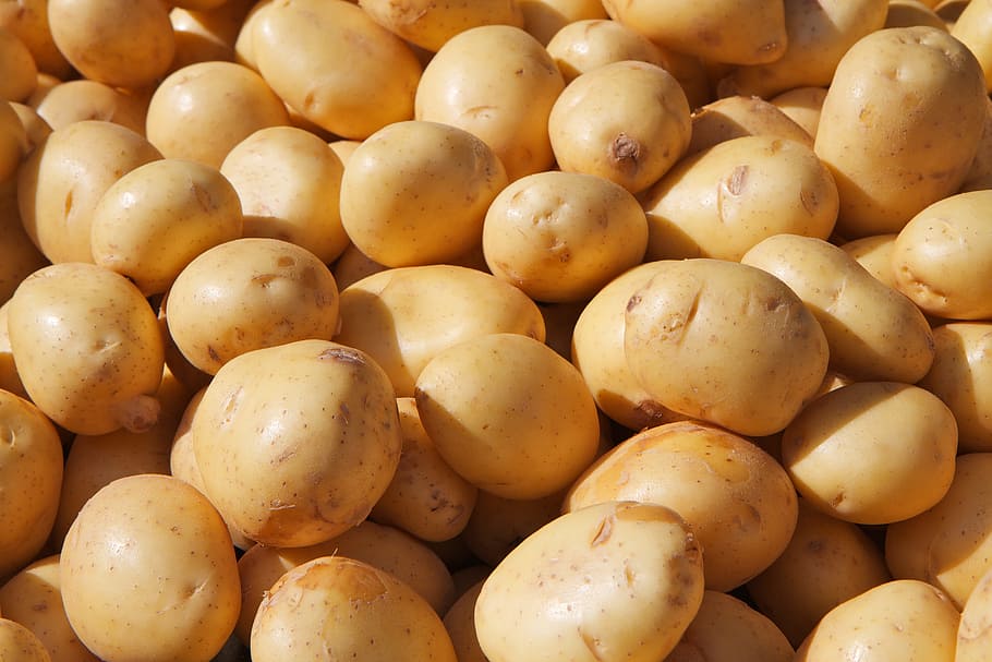 bunch of potatoes, potato, coarse cereals, grains, food, from china, food and drink, freshness, wellbeing, healthy eating
