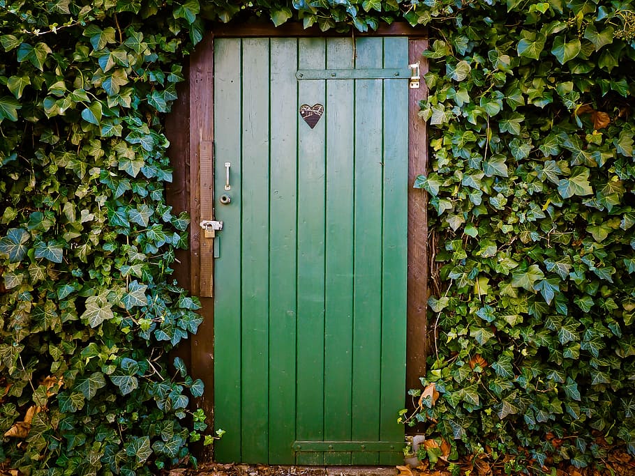 녹색 나무로되는 문, 문, 화장실 문, 평화와 조용한, 오래된 문, 목재, 해체, 잊혀지지 않는, 늙은, 담쟁이