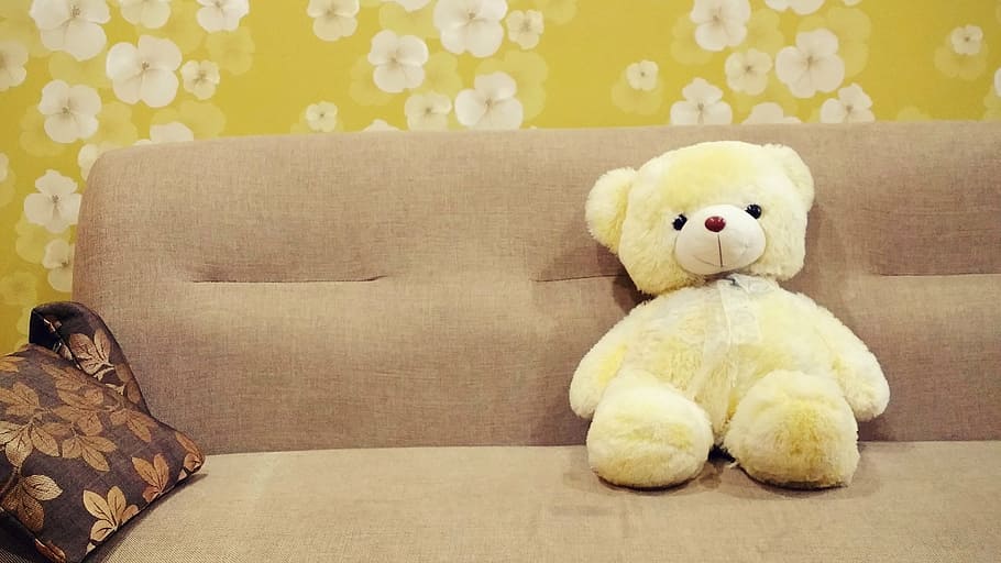 white, bear, plush, toy, brown, fabric sofa, baby toy, cushion, flower wallpaper, green