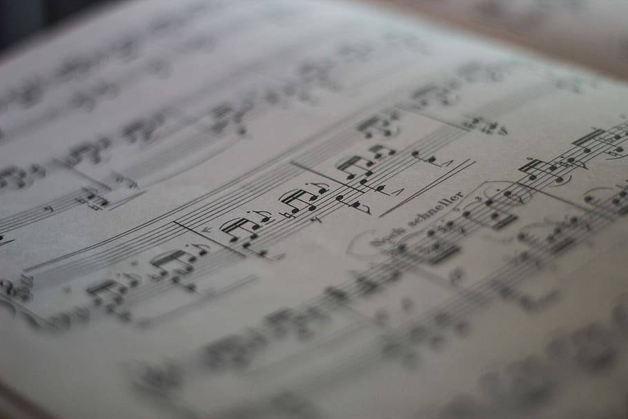 musical note, music, nuts, music notes, sheet music, mozart, beethoven, show ladder, selective focus, close-up