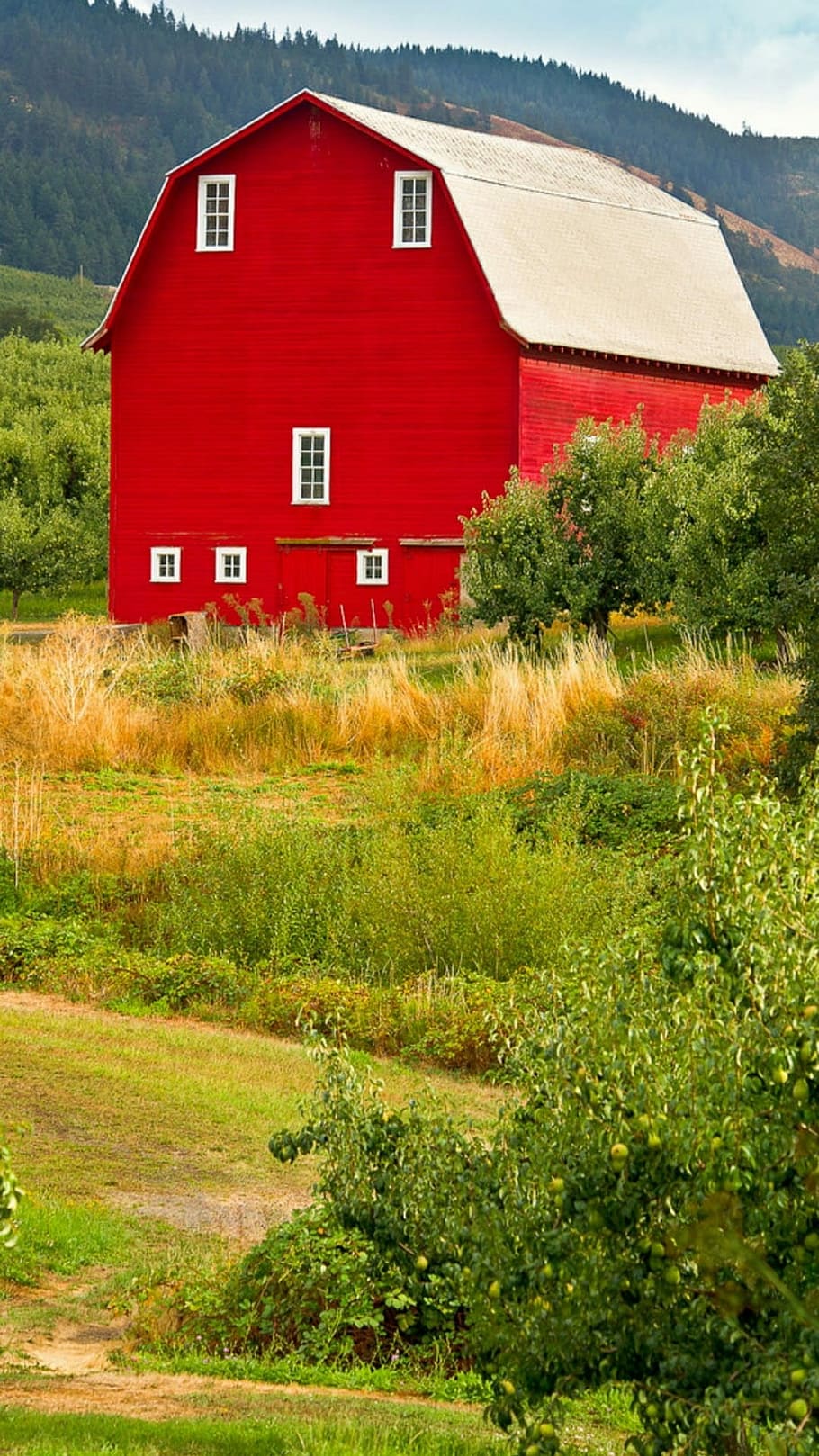 Red, Barn, Oregon, red, barn, house, built structure, building exterior, grass, architecture, plant