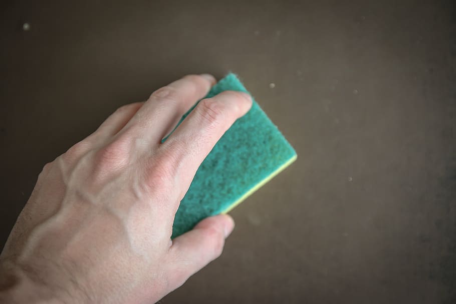 person, holding, green, sponge, cleaning, washing, cleanup, washcloth, the hand, human hand