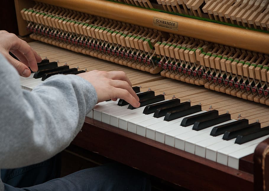 Persona tocando piano, piano, músico, artista, música, instrumento musical, equipo musical, mano humana, una persona, adentro