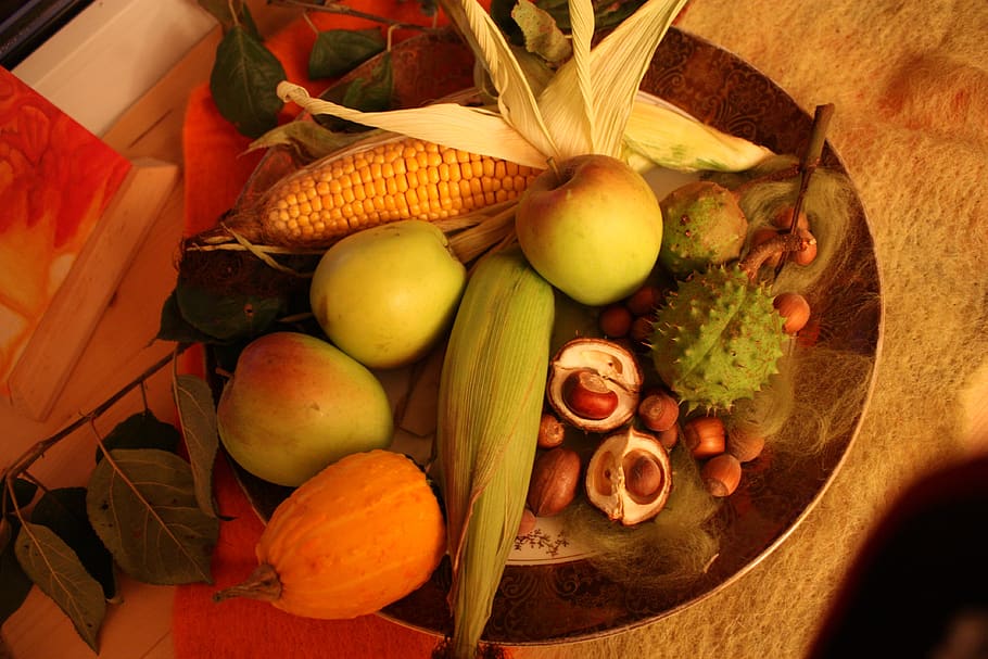 thanksgiving, chestnut, apple's, plate, autumn, case, leaves, fall color, orange, still