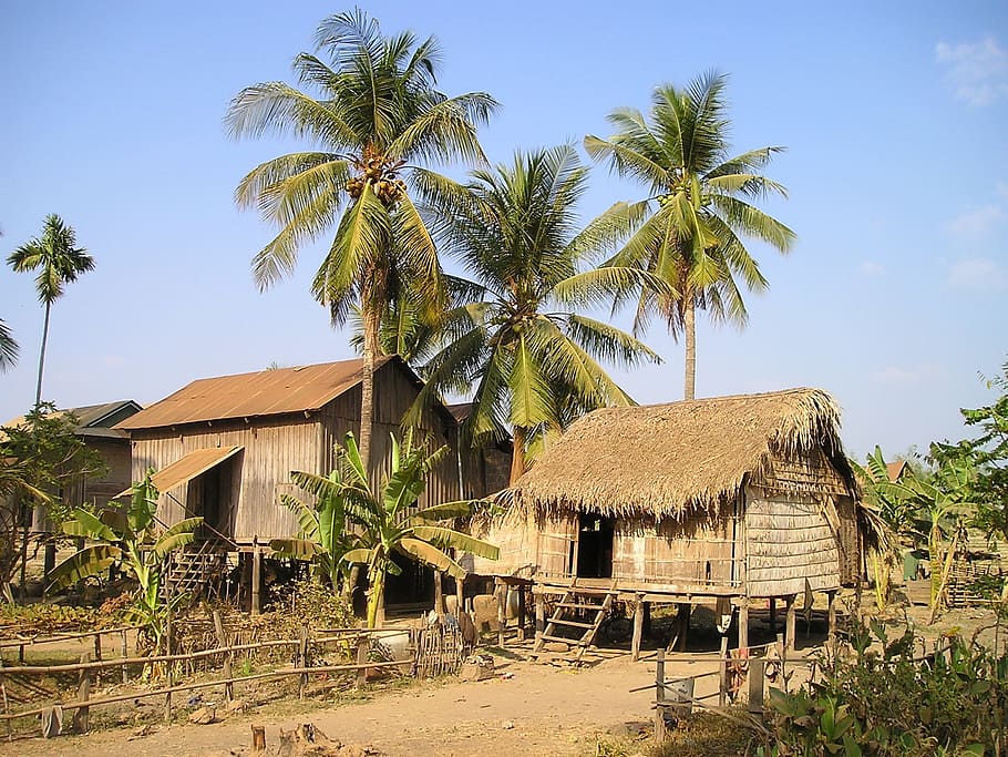 brown, house, trees, cottages, cambodia, land, live, palm trees, heated, simply
