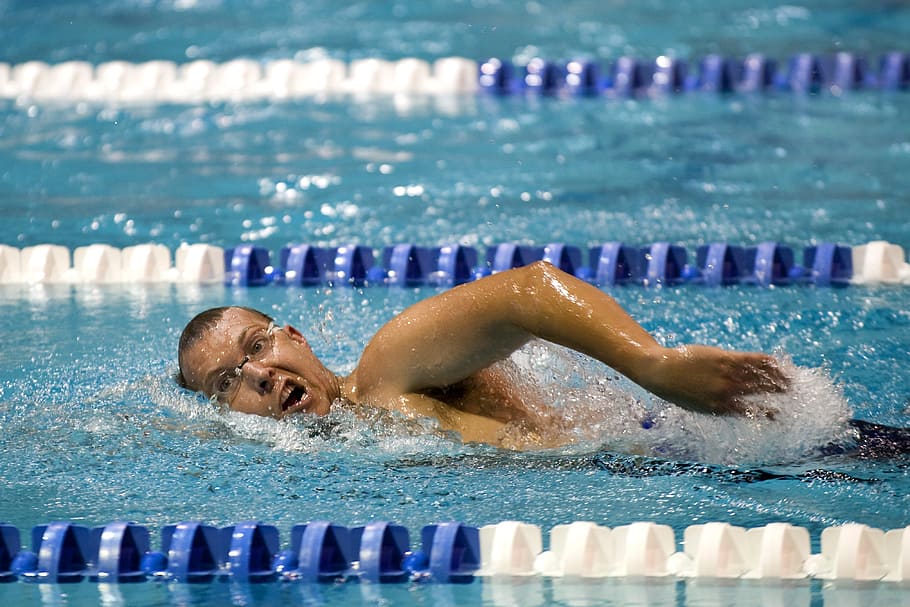 man, swimming, pool, swimmer, training, lane, competition, style, stroke, athlete