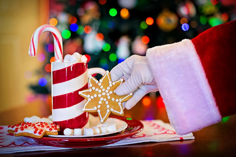 white, red, ceramic, hand, santa's arm, hot chocolate, cocoa, christmas cookie, chocolate, hot