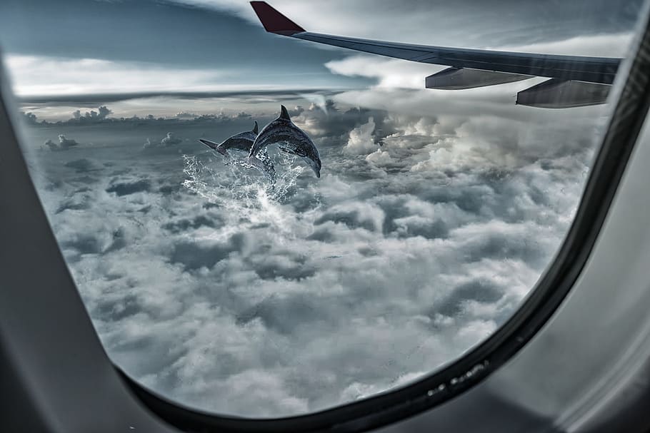 kaca jendela, pesawat, langit, tinggi, penerbangan, sayap, awan - langit, kendaraan udara, moda transportasi, pesawat terbang