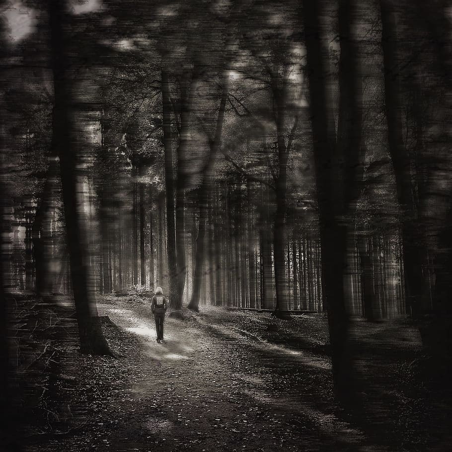 grayscale photo, person, walking, toward, forest, gloomy, mood, alone, tree, land