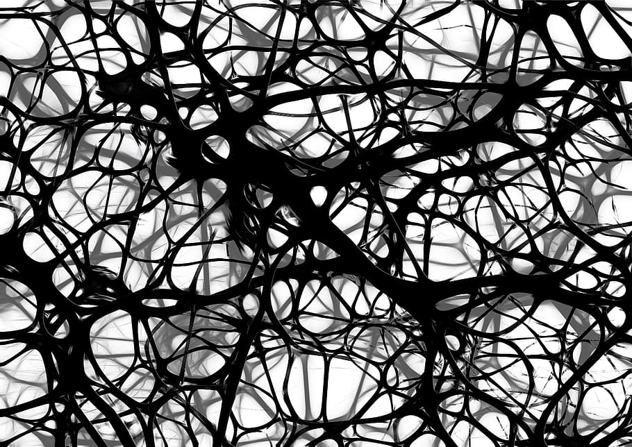 검은, 화이트, 디지털, 벽지, 뉴런, 뇌 세포, 뇌 구조, 뇌, 네트워크, 주름 살