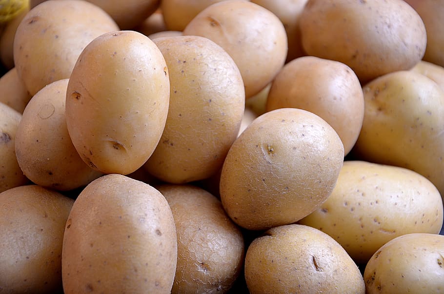 brown potato lot, potatoes, vegetables, power, food, eat, food and drink, freshness, healthy eating, large group of objects
