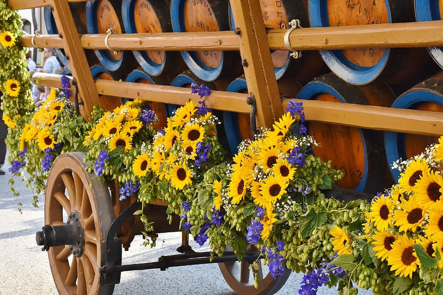 yellow, petaled flowers, wagon, beer car, barrels, beer, barrel coach, pageant, catchment, sunflower