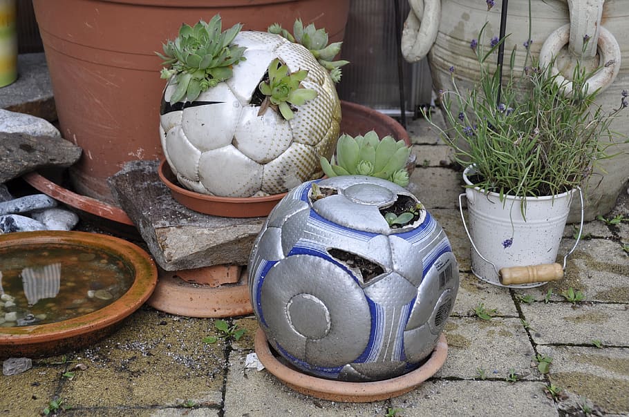 diy, football, plant, upcycling, potted plant, container, day, high angle view, choice, outdoors