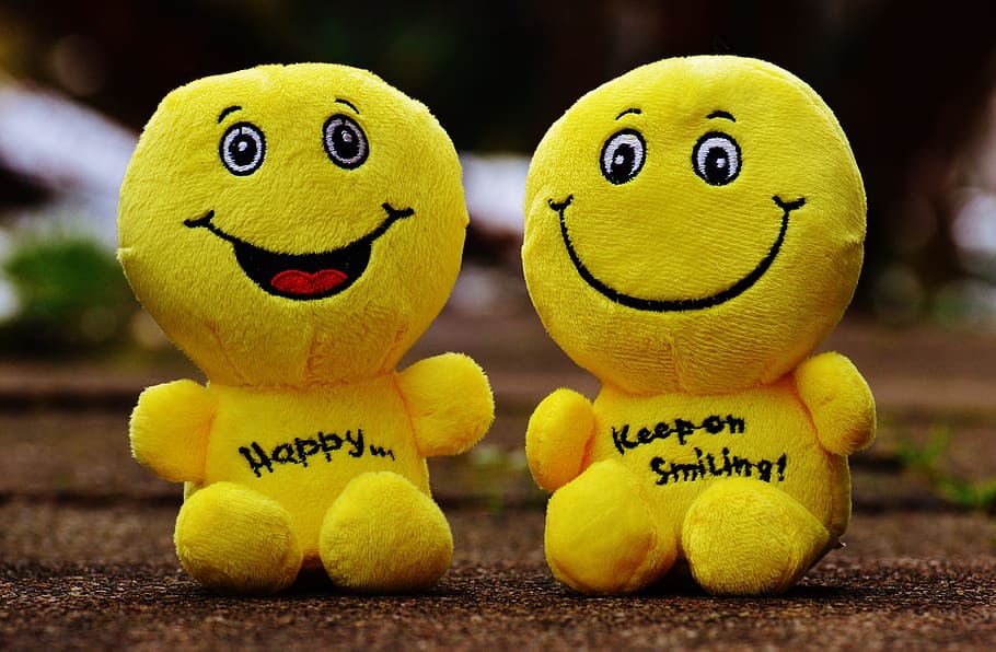 two, emoji, plush, toys, brown, surface, smiley, laugh, funny, emoticon