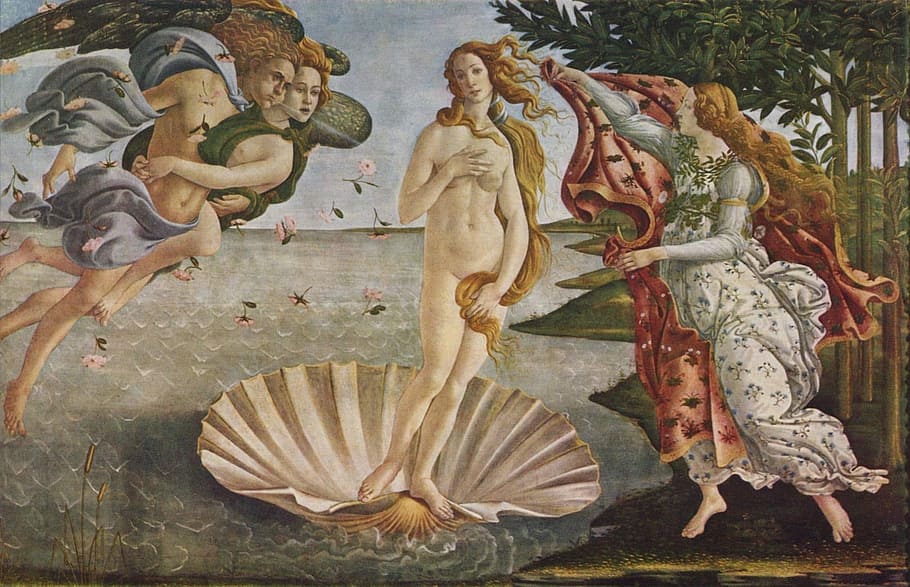 wanita, berdiri, putih, lukisan kerang, clamshell, lukisan, lukisan minyak, venus, sandro botticelli, kelahiran venus