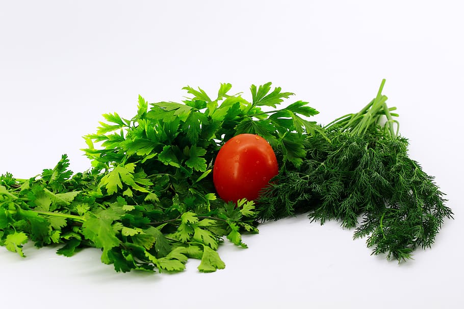 white background, greens, parsley, dill, cilantro, tomatoes, red, plum-shaped, one, three