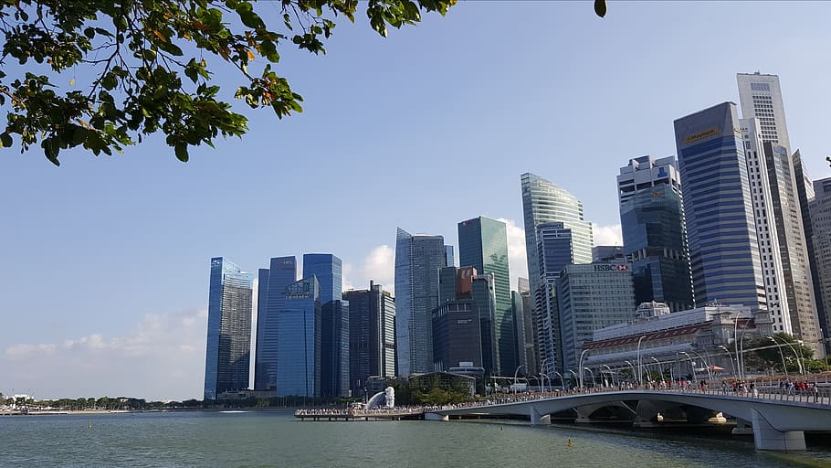 singapore, city, skyscraper, skyline, cityscape, promenade, merlion, marina, sunny, cbd