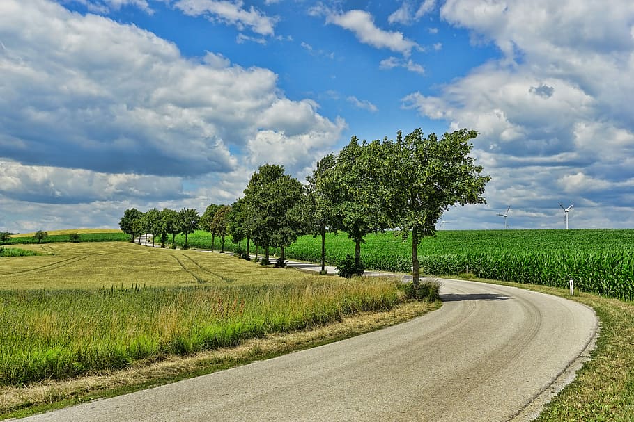 green, leafed, trees, daytime, nature, road, sky, clouds, lonely road, summer