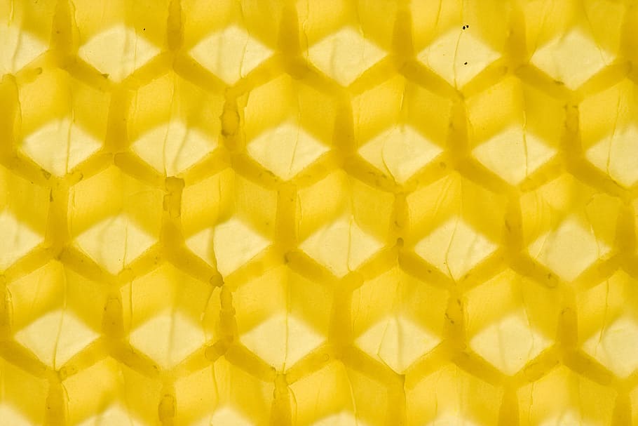 yellow wallpaper, beeswax, honey, honeybee, honeycomb, industrious, wax, yellow, background, bee