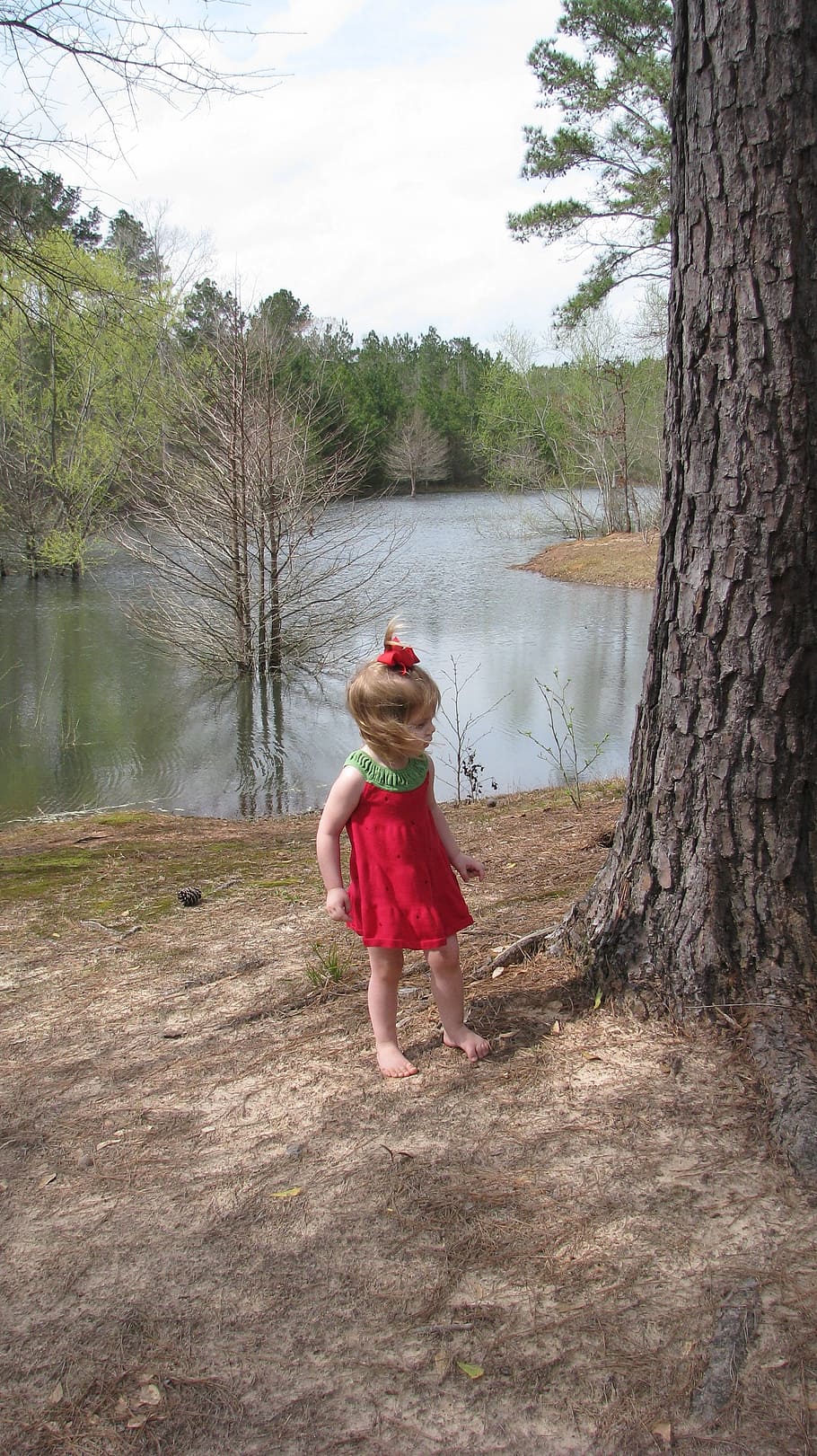 menina, vermelho, verde, vestido sem mangas, em pé, árvore, criança, jovem, curioso, infância