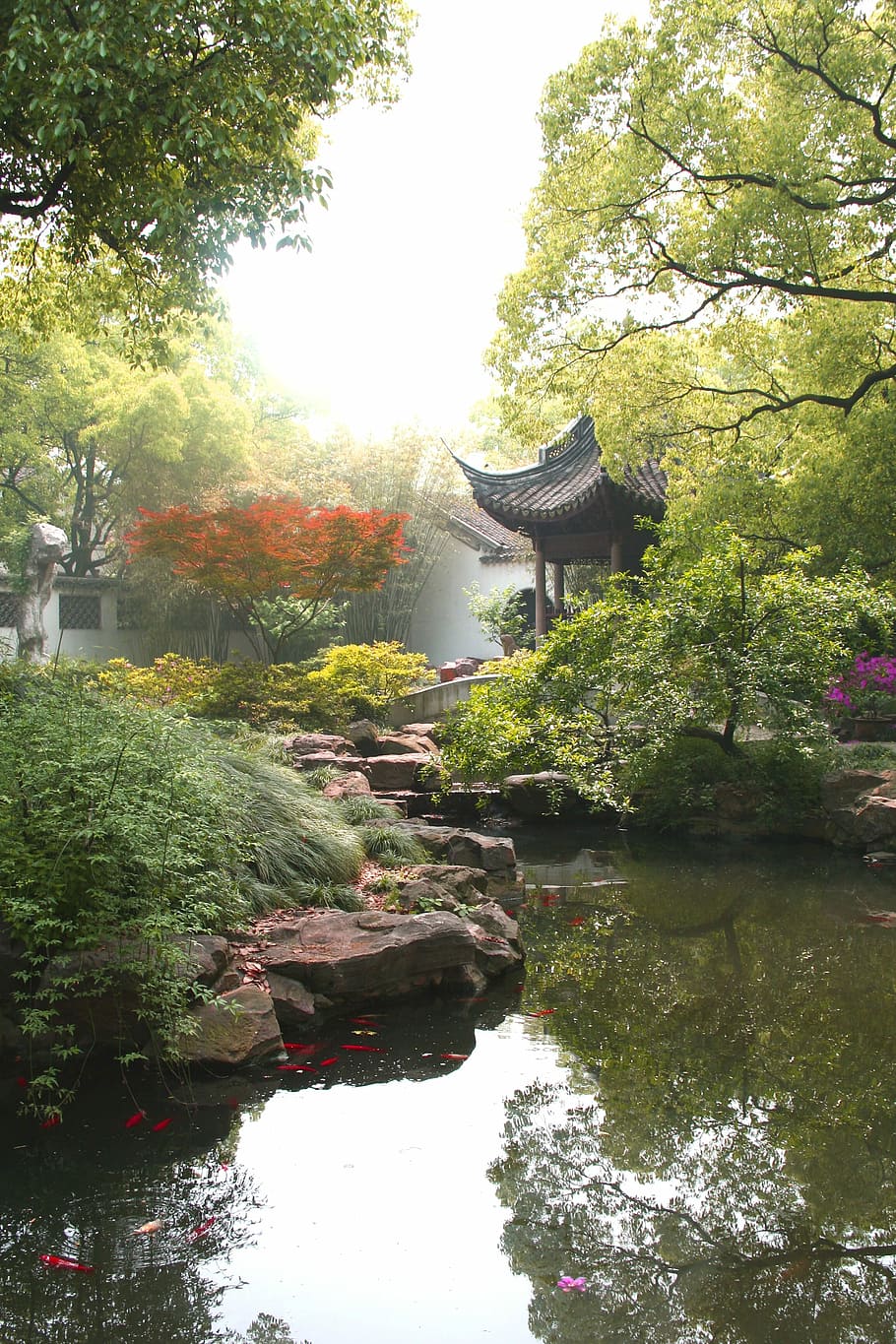paisaje del jardín jichang, jardín Jichang, paisaje, Wuxi, Jiangsu, China, fotos, dominio público, asia, japón