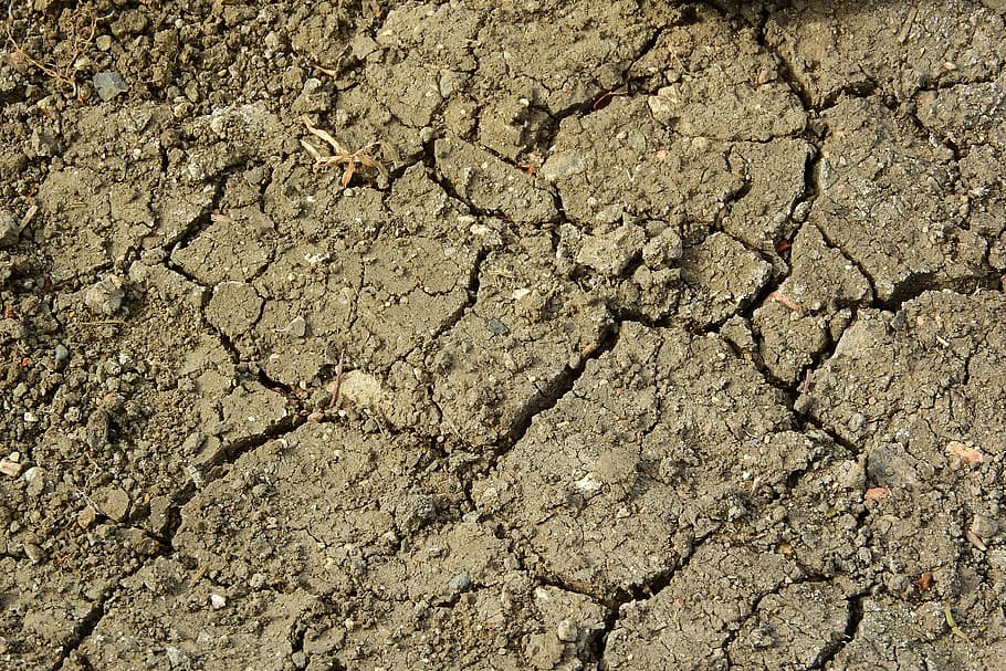 terra rachada, seca, solo seco, rachaduras na terra, argila, agricultura, sujeira, terra, seco, natureza