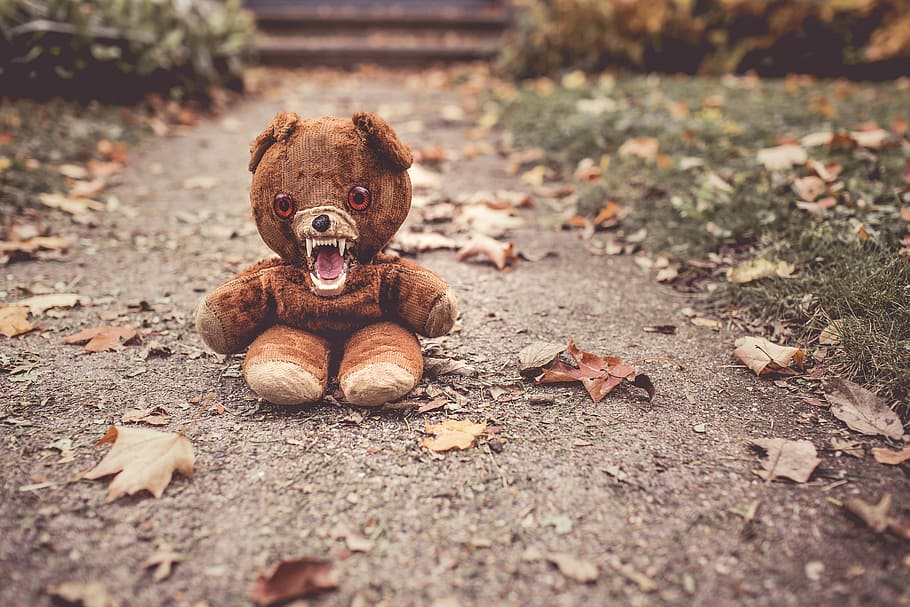 brown, bear, plush, toy, gray, concrete, floor, brown bear, plush toy, objects