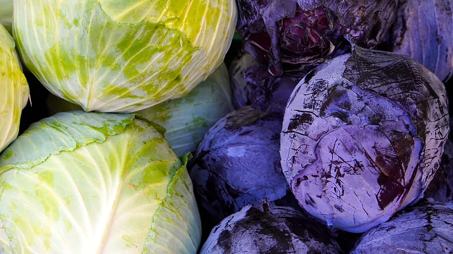 kohl, red cabbage, white cabbage, vegetables, food, healthy, food and drink, healthy eating, vegetable, wellbeing