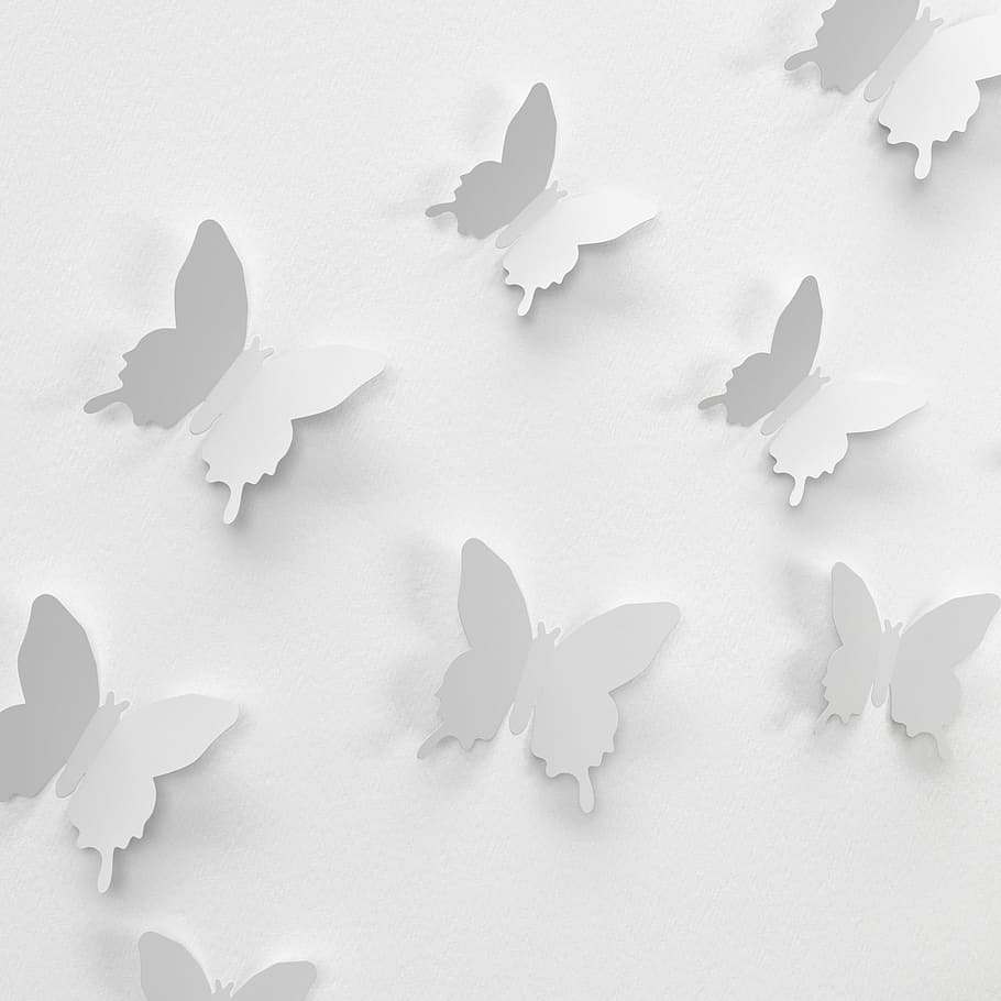 white, butterfly papers, surface, butterfly, wall, decoration, color, paper decoration, colorful, pleasure