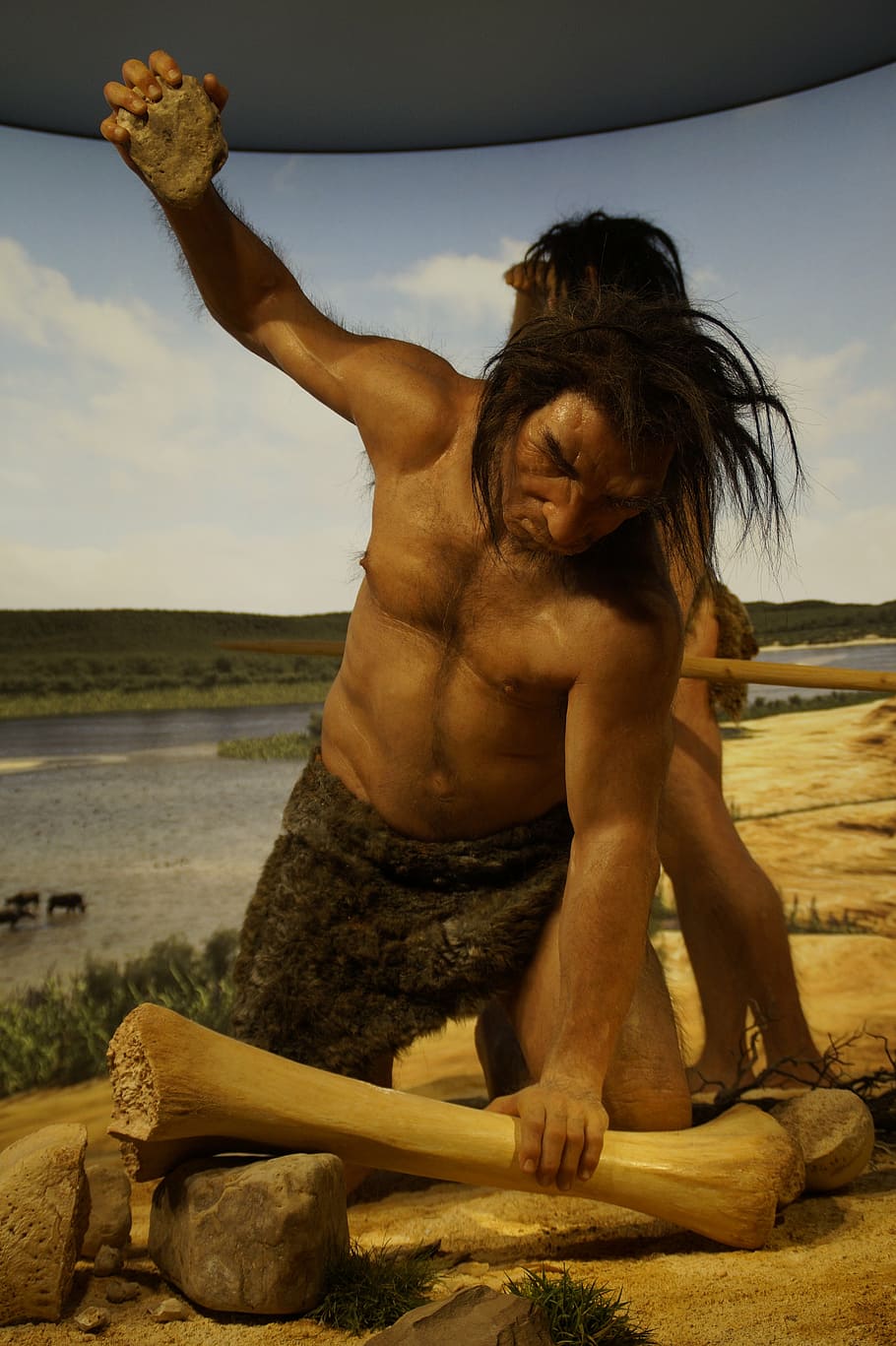 ancestor, stone age, caveman, neanderthal, hunting, hunt, museum, doll, man, evolution